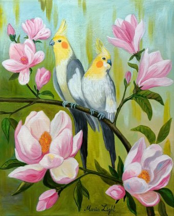 Carella on a blooming magnolia