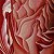 Rose and rhythm – painting