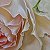 Roses and the geometry of spa – painting