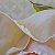 Roses and the geometry of spa – buy online