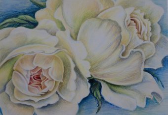 The Shine of Roses