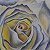 Rose Luminescence – buy