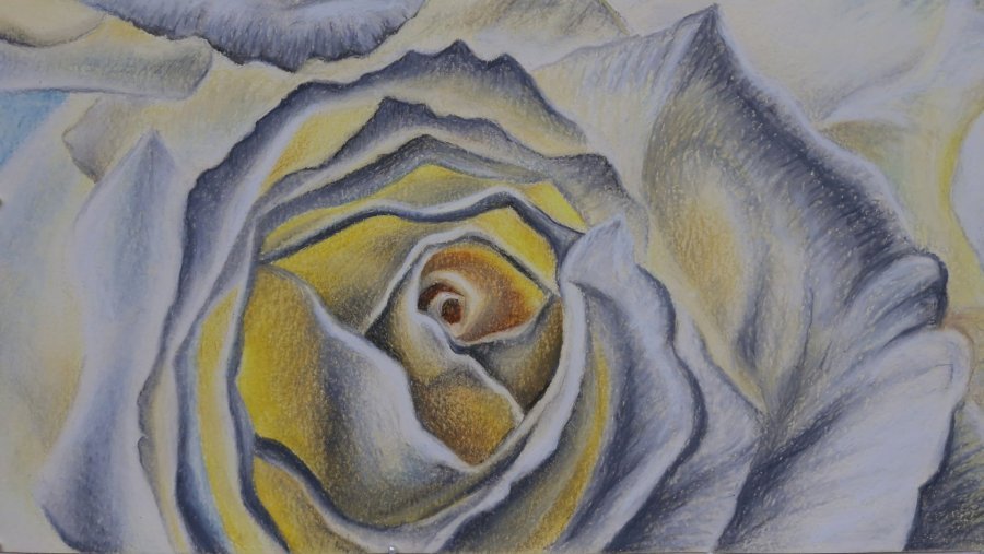 Additional view 1: Impressionism Flower Drawing Rose Luminescence by illustrator Elena Nova pastel paper 