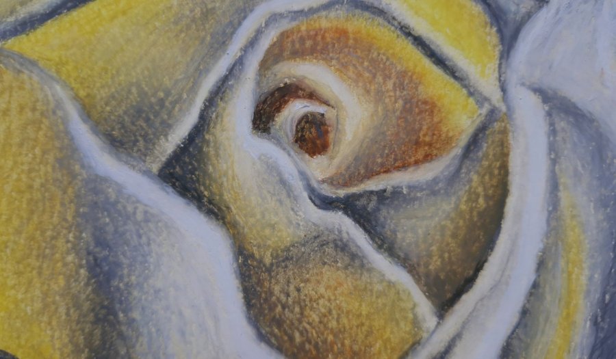Additional view 2: Impressionism Flower Drawing Rose Luminescence by illustrator Elena Nova pastel paper 