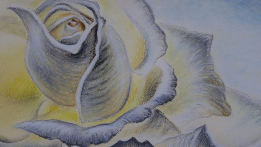 Additional view 3: Impressionism Flower Drawing Rose Luminescence by illustrator Elena Nova pastel paper 