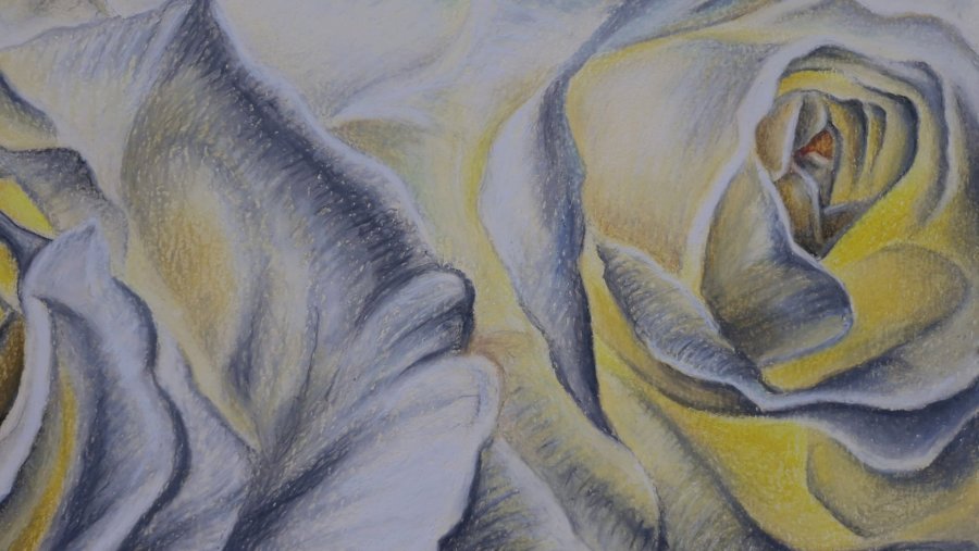 Additional view 4: Impressionism Flower Drawing Rose Luminescence by illustrator Elena Nova pastel paper 