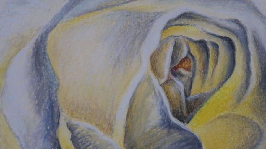 Additional view 5: Impressionism Flower Drawing Rose Luminescence by illustrator Elena Nova pastel paper 
