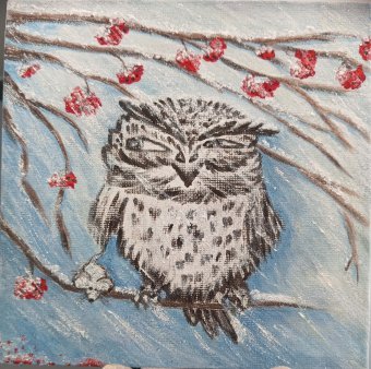 Owl in a Blizzard