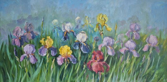 Iris Rainbow: A Burst of Spring Colors