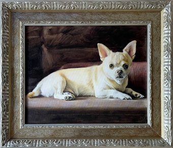 My Best Friend Named Peach: Proud Chihuahua Spirit