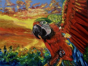 MACAW