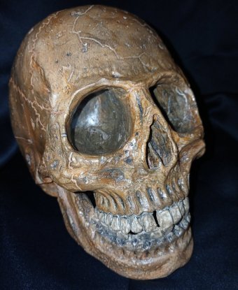 Sculpture "Ceramic skull made of clay (Ötzi)" by sculptor Valentin Kern Ceramics at Jose Art Gallery