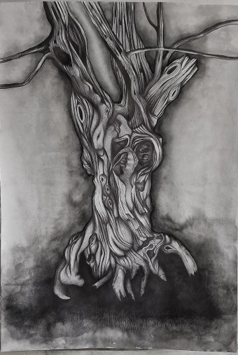 Drawing "Dry tree" by illustrator bernardino drawing ink paper at Jose Art Gallery