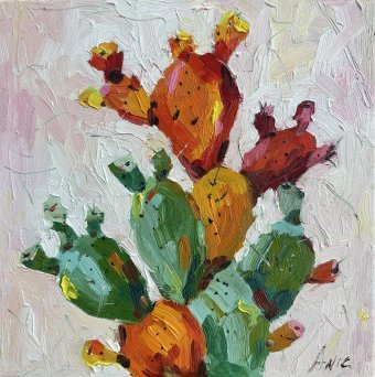 Cactus coloré