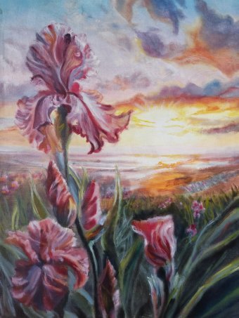 Irises At Sunrise