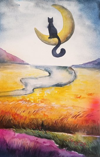 Gato Lunar