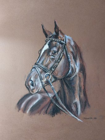 Drawing "My Pastels: The Grace of Horses" by illustrator Natali Diduh pastel paper at Jose Art Gallery