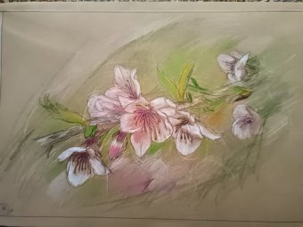 Drawing "Whispers of Spring in Bloom" by illustrator roberto ferrando pencil paper at Jose Art Gallery