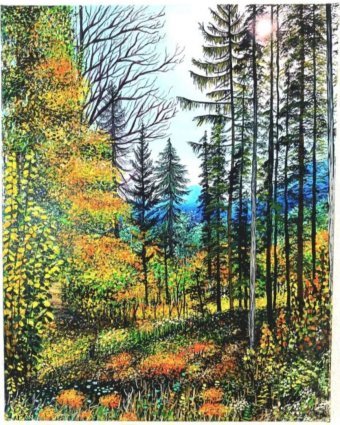 Pittura "Bosco autunnale a Schiederweiher", pittore Valentin Kern acrilico tela alla Jose Art Gallery