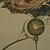 Surveyors – buy online