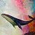 Between Earth and Sky – order
