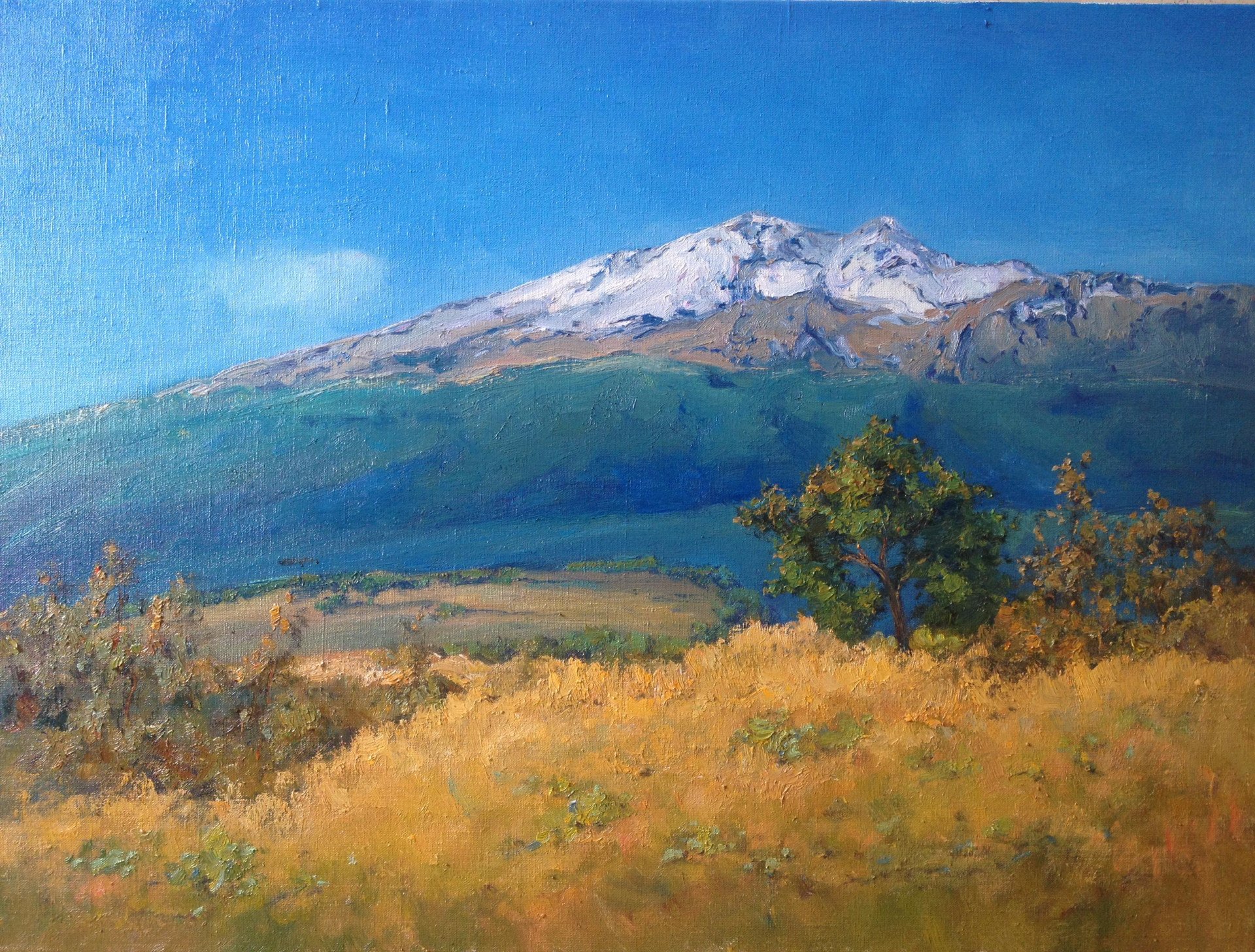 Картина «Мексика, Вулкан Попокатепетль», Володимир Козюк