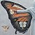 Cocoon of Identity – buy