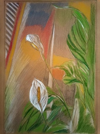 Drawing "Reflections of Peace: Harmony and Golden Light" by illustrator roberto ferrando pencil paper at Jose Art Gallery