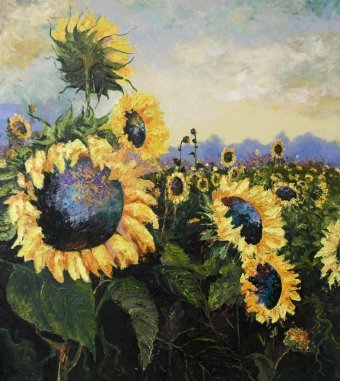 Tournesols