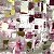 Raspberry Abstraction – buy