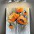 Poppies – buy