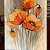 Poppies – painting
