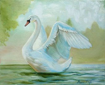 Swon on the pond