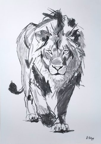 Graphique "Face au monde", illustrateur Axelle Biltgen charbon papier à la Jose Art Gallery