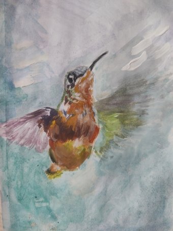 Hummingbird tends upward