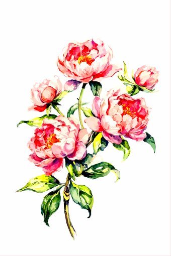 Digital Art "Lush Vintage Peony Canvas" by digital artist Viktor Levchenko at Jose Art Gallery