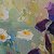 Irises: Vibrant Floral Impressions – order