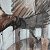 Let them fly – order
