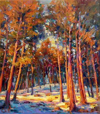 Evening forest
