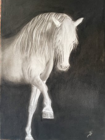 Graphique "Échos de Pureté", illustrateur Julia Oberndorfer charbon papier à la Jose Art Gallery