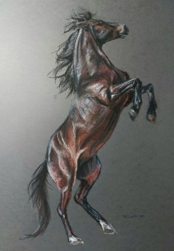 Drawing "The Soul of a Horse in Pastel" by illustrator Natali Diduh pastel paper at Jose Art Gallery