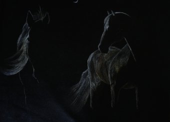 Painting "Nocturnal Grace" by painter Kalyani Gulage acrylic canvas at Jose Art Gallery