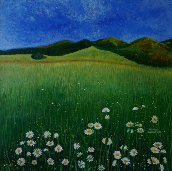 Gänseblümchen im hohen Gras