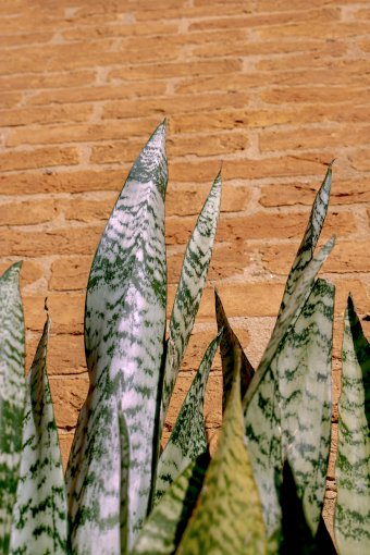 Fotografía "Caminos de la Tierra", fotógrafo Sergio Luiz Cerezer Benetti Sergio en Jose Art Gallery