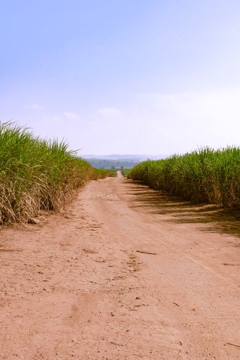 Fotografía "Conexión Rural", fotógrafo Sergio Luiz Cerezer Benetti Sergio en Jose Art Gallery