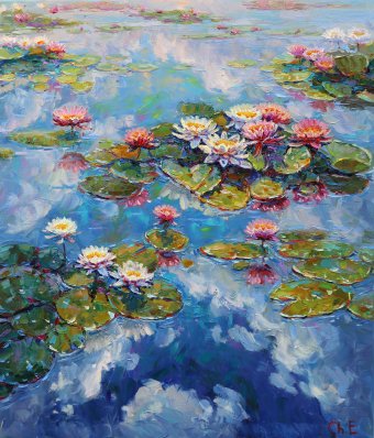 Water lilies