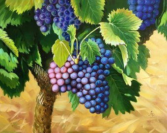 Painting "Bunches of grapes" by painter Aleksandr Romanenko oil canvas at Jose Art Gallery