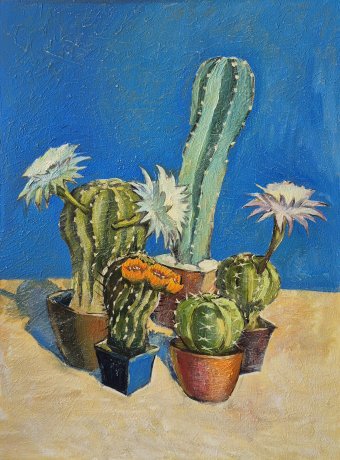 Prickly diversity