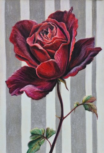 Painting "Architecture of a Rose" by painter Elena Nova pastel paper at Jose Art Gallery