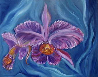 Purple Cattleya
